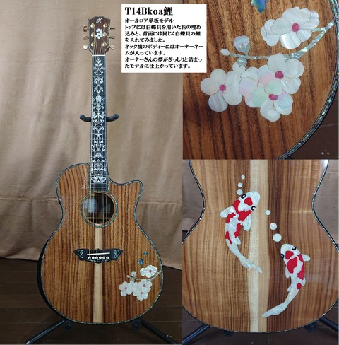 T14Bkoa鯉