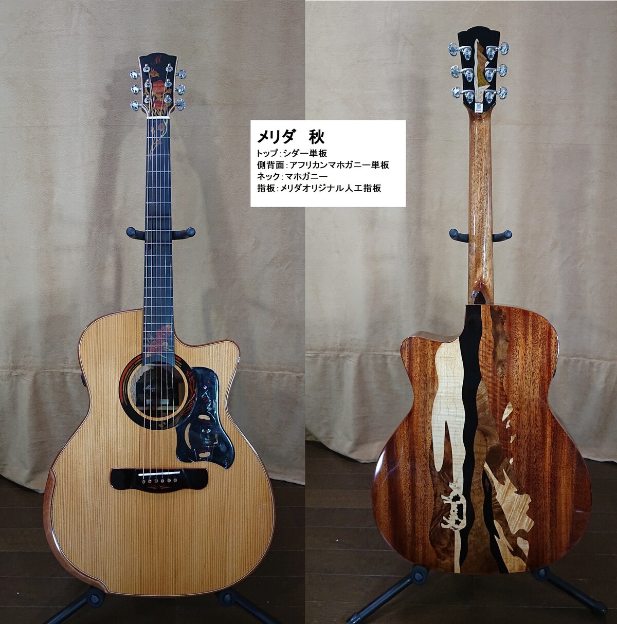 メリダ・秋 トップシダーモデル : TOYAギター （夢を形に、趣味の