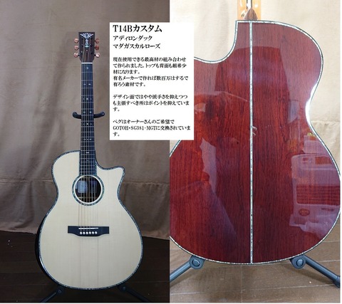 T14Bアデ+マダ