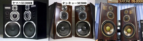 ns-1000m2