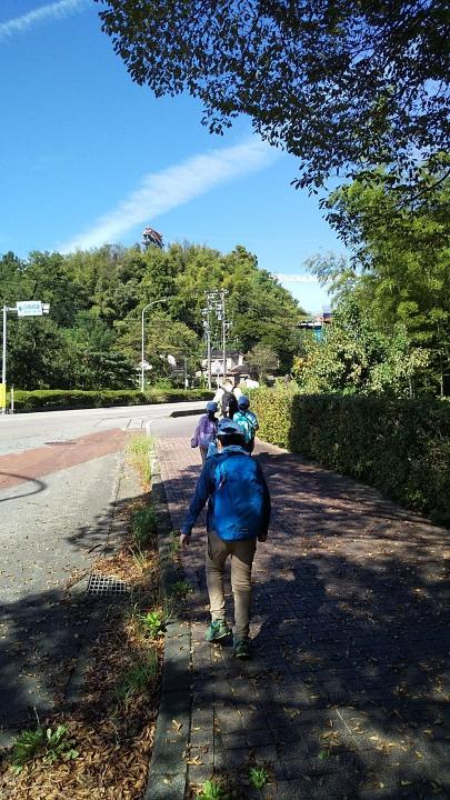 line_519992250146273