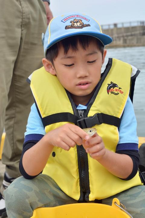 line_130377446286148