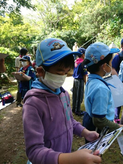 line_489536378670807