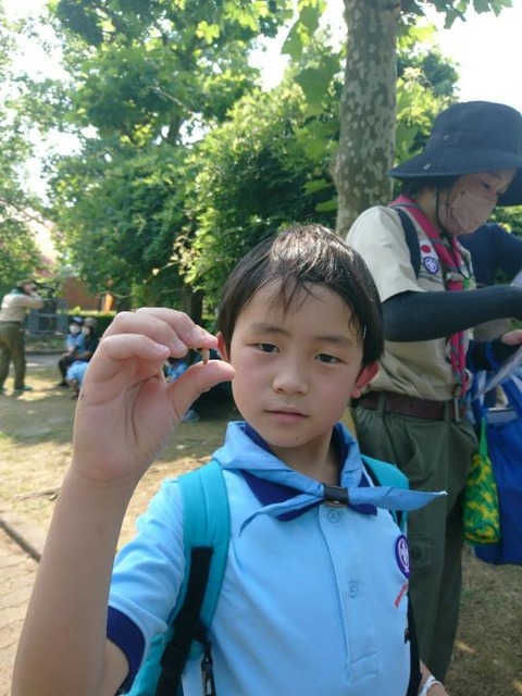 line_193510156327275
