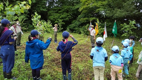 [富山10団]みんなで植樹奉仕