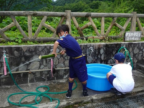 line_300460507745842-1