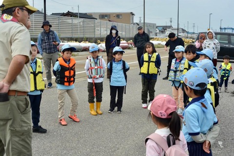 line_142947325017655