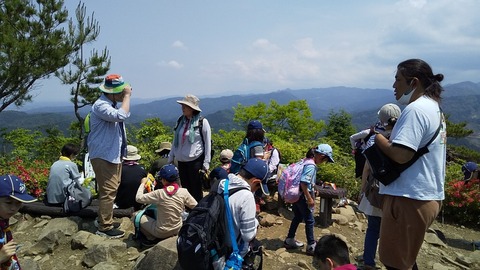 line_24208029768629