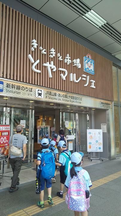 line_2934593342889
