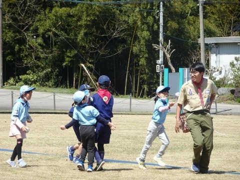line_66391976504724
