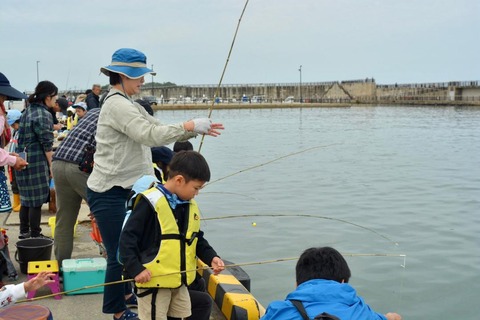 line_105524400332244