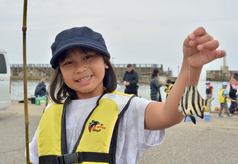 line_130435558454043