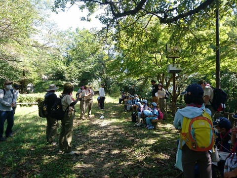 line_519831749442115