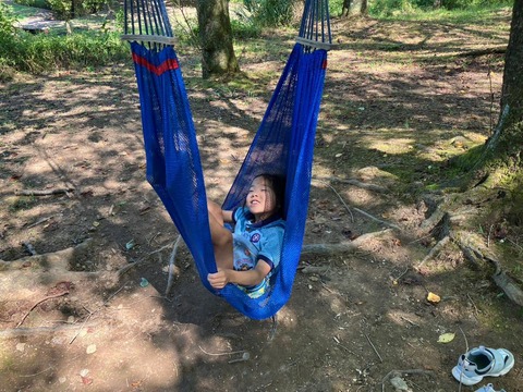 line_50197491394443_2