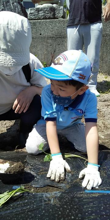 line_61387315564342