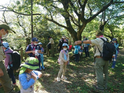 line_519820945169567