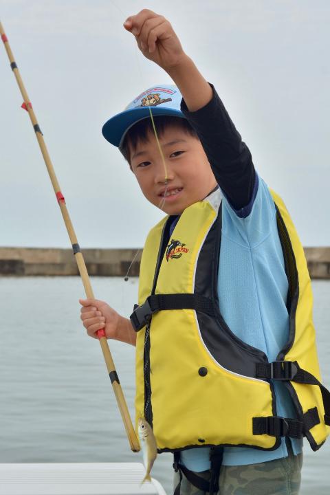 line_105527438352867