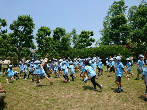 line_193522066884145