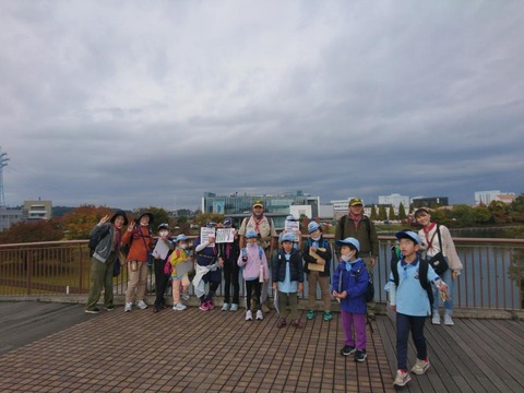 line_695284530038259