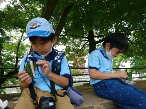 line_2950708019758
