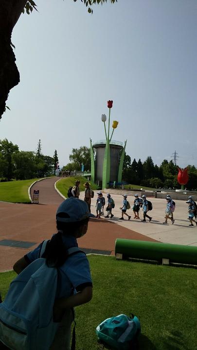 line_193474513417757