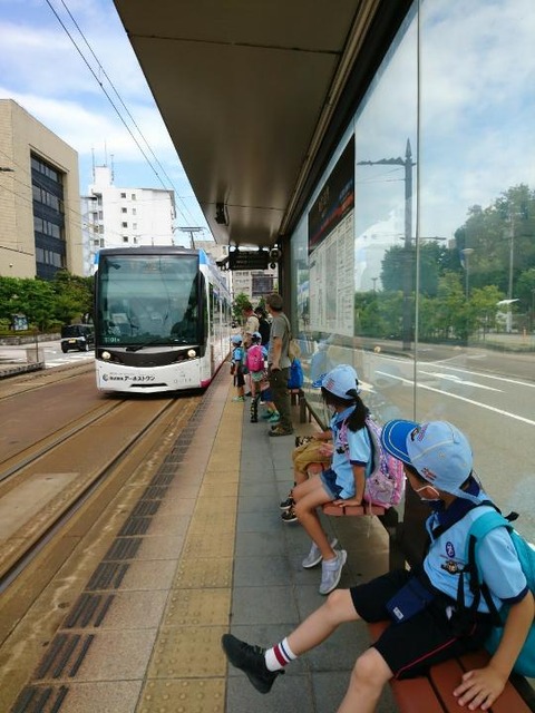 line_2954333661528