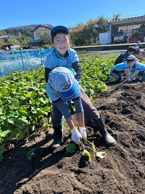 line_89927674700274_1