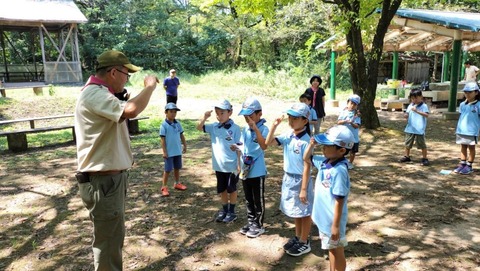 line_50200793749286_2