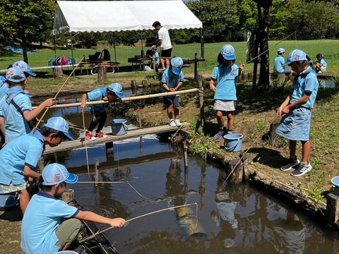 line_50202314387723_2