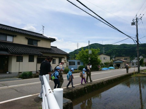 line_61379731851792