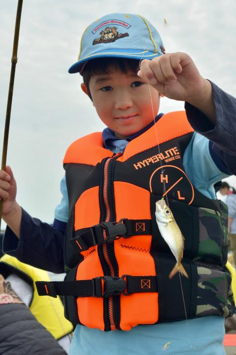 line_105528137053023