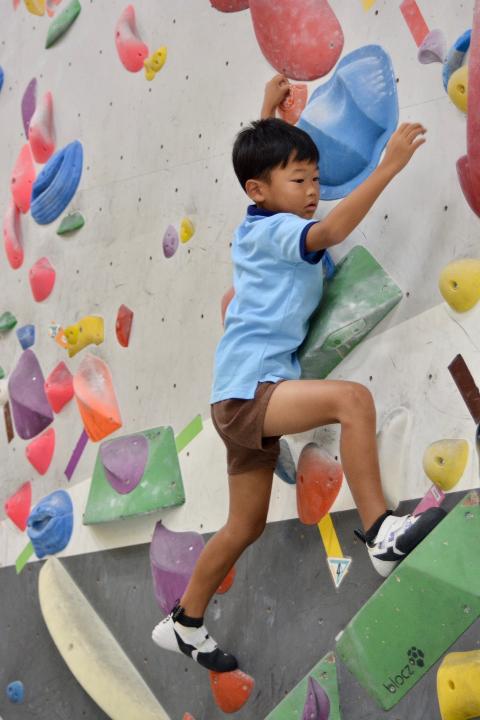 line_11525569823050
