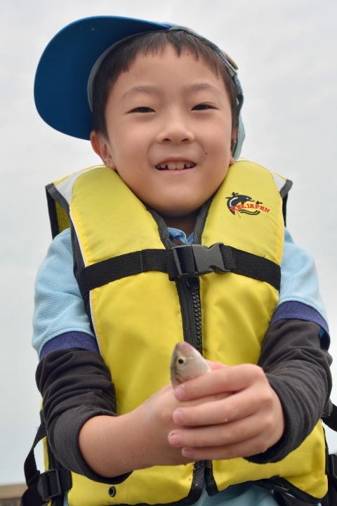 line_105531447463387