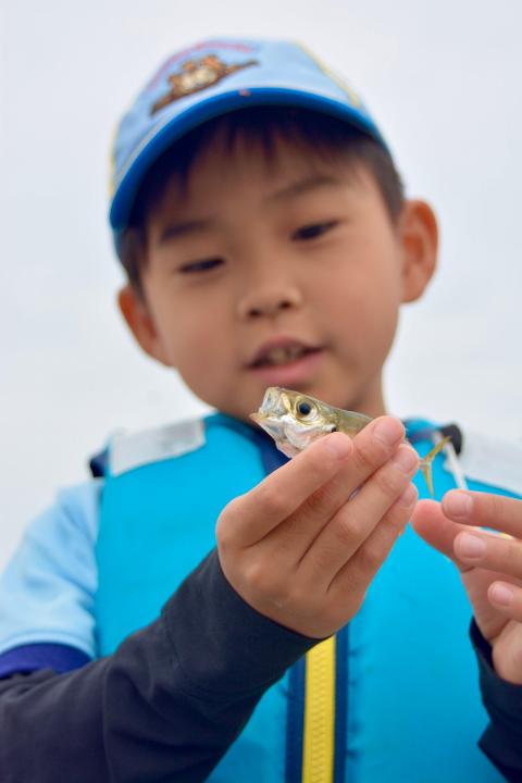 line_141844677392503_1