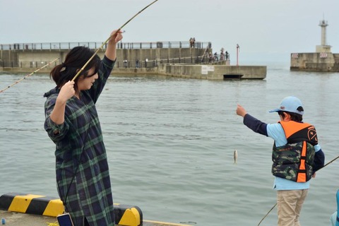 line_130332932601426