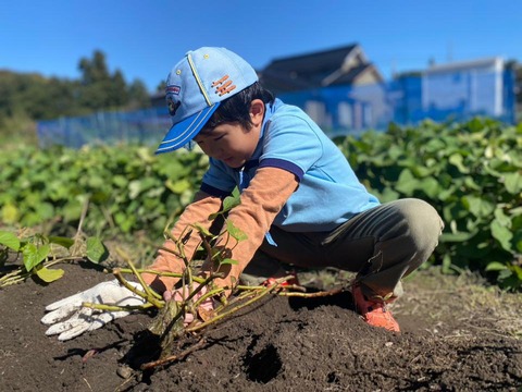 line_89929078969545_1