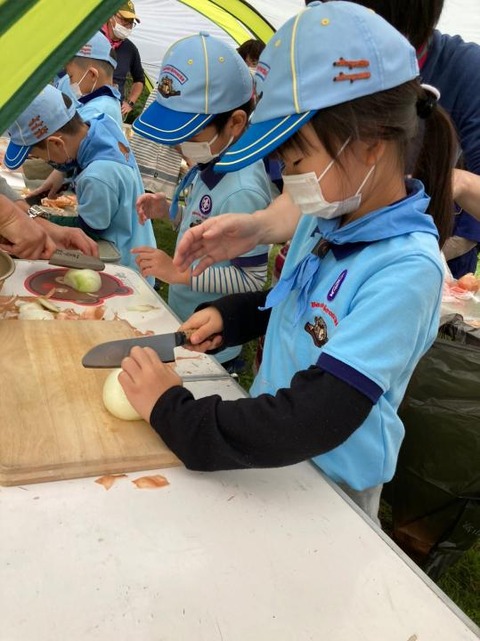 line_54260849683258