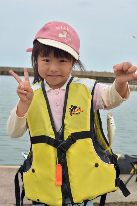 line_105534048082084