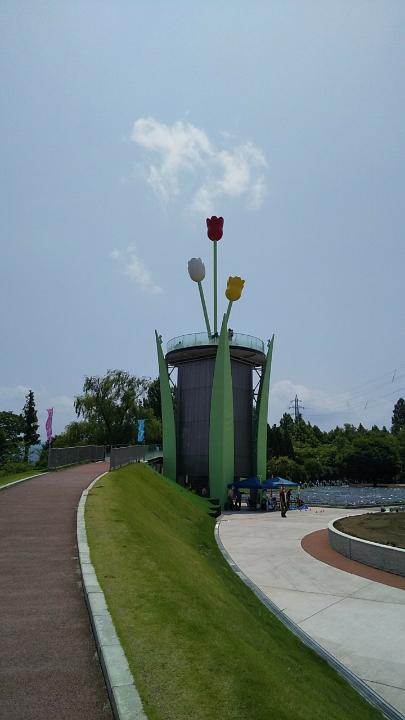 line_206700723621982