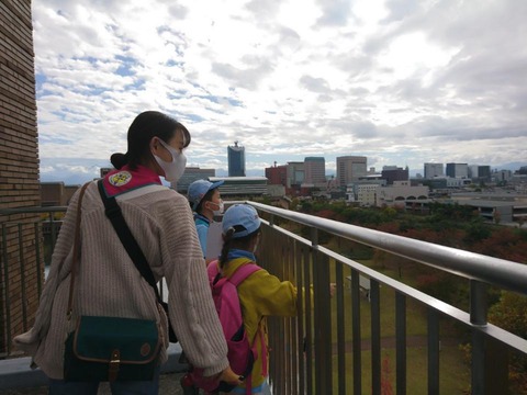 line_695285029488675