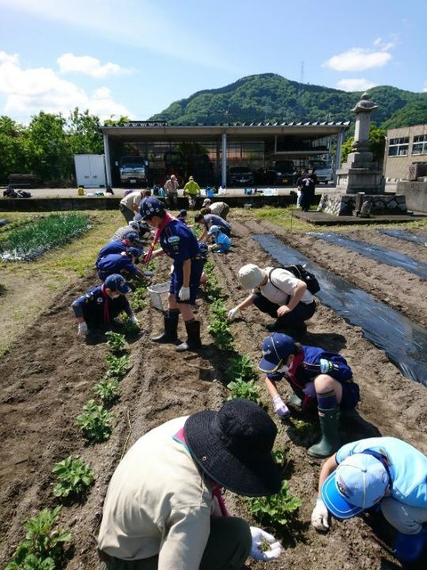 line_61374194815440