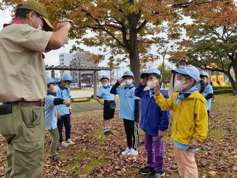 line_695296049411067