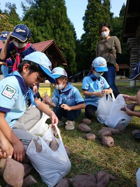 line_420110998405573