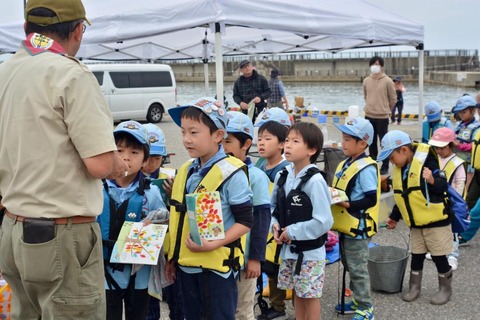 line_130495511720270