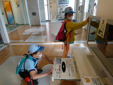 line_695289106661851_1