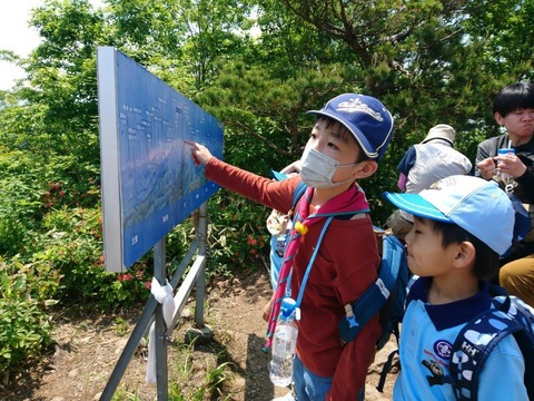 line_24216133418938