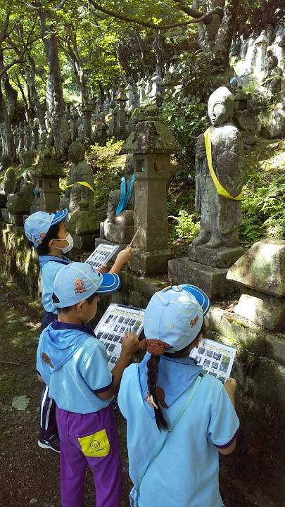 line_489545341969919