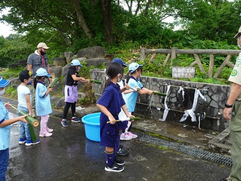 line_264108383069033_1