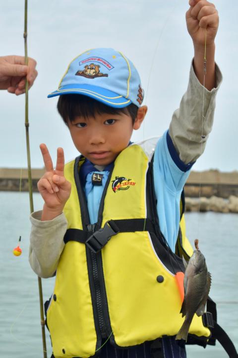 line_130392493237445