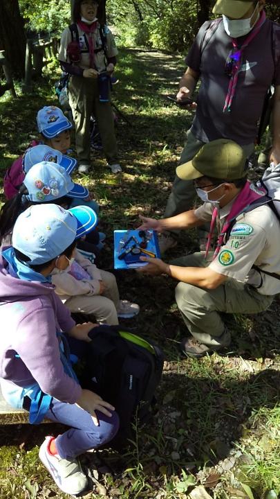 line_489544682462471